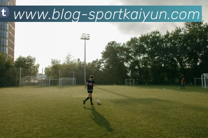 开云体育平台生态图